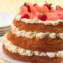 Angel Food and Grapefruit Lush Cake